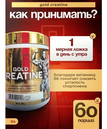 Kevin Levrone Gold Creatin creatine monohydrate 60 servings - Buy Online on GoSupps.com