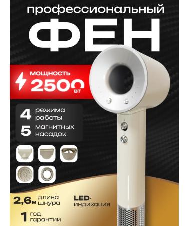 Professional hair hair dryer with no 1 in 1 powerful nozzles