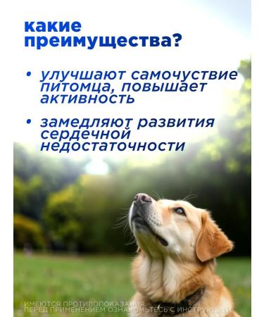 Boehringer Ingelheim Vetmedin s tablets from heart failure in dogs - Buy Online on GoSupps.com