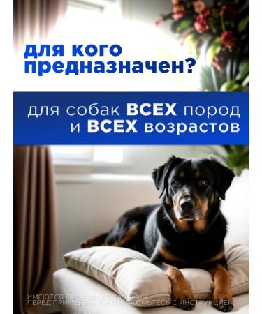 Boehringer Ingelheim Vetmedin s tablets from heart failure in dogs - Buy Online on GoSupps.com