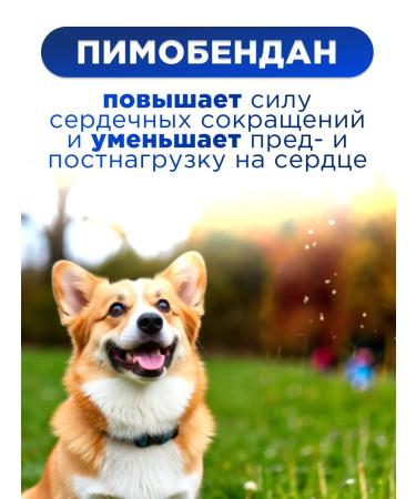 Boehringer Ingelheim Vetmedin s tablets from heart failure in dogs - Buy Online on GoSupps.com