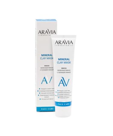 ARAVIA Laboratories Multactive mask with blue clay minerel clay mask