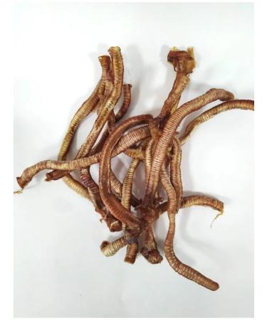 ZooCasket Treat trachee duck 100 grams - Buy Online on GoSupps.com