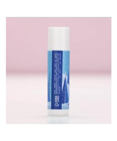 Gift set of lip cosmetics for the New Year - Buy Online on GoSupps.com