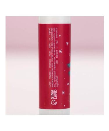 Gift set of lip cosmetics for the New Year - Buy Online on GoSupps.com