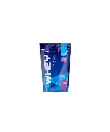 R-line Wheythly protein Whey 1000 grams of seal