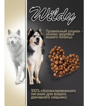 WILDY Adult Dog Energy Dry Form for Dogs 3 kg - Buy Online on GoSupps.com