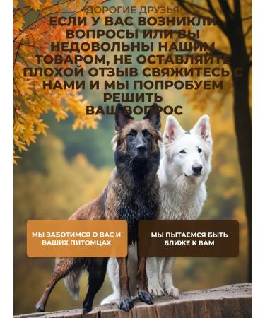 Gamma Biocapas on the withers for cats from external parasites - Buy Online on GoSupps.com