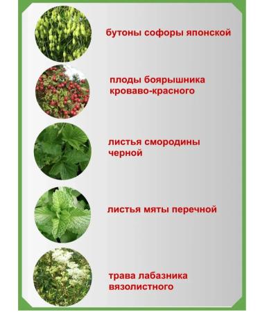 Altai cedar Phytochi Cardenorm with Sophora of Japanese Altai No. 36 - Buy Online on GoSupps.com