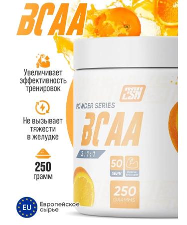 2SN BCAA amino acid powder 2-1-1 orange 250g