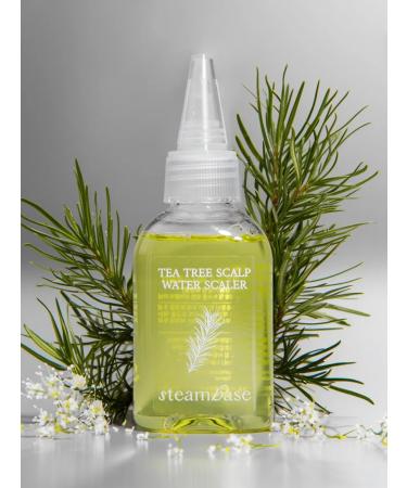 STEAM BASE Hair shampoo female Korea. 50 ml - Buy Online on GoSupps.com