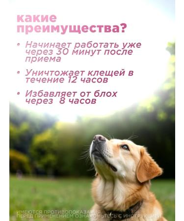 Tixfli 250 mg fleas and dog ticks tablets - Buy Online on GoSupps.com
