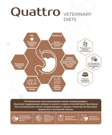 QUATTRO VETERINARY DIETS Dry food for cats VD Gastrointestinal NP 2 kg - Buy Online on GoSupps.com