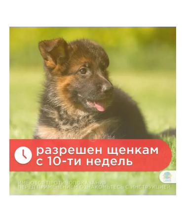 Apicenna Drops are given ultra from ticks and fleas for dogs more than 20 kg - Buy Online on GoSupps.com