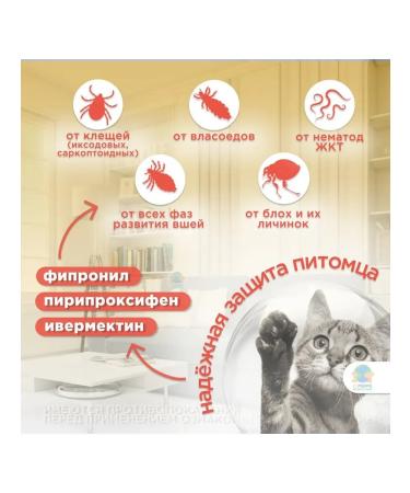 KRKA The collar against parasites is given an ultra for cats 35 cm - Buy Online on GoSupps.com