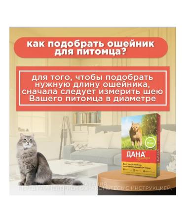 KRKA The collar against parasites is given an ultra for cats 35 cm - Buy Online on GoSupps.com