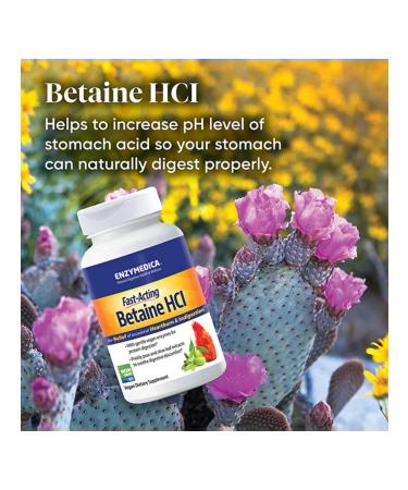 enzymedica Betain hydrochloride Betaine HCI Fast-Ciding 60 Capsules - Buy Online on GoSupps.com