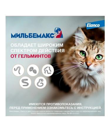 Elanco Milbemax from worms for cats 2 tab - Buy Online on GoSupps.com
