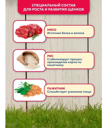 Pet's Brunch Dry food for puppies 4 kg - Buy Online on GoSupps.com