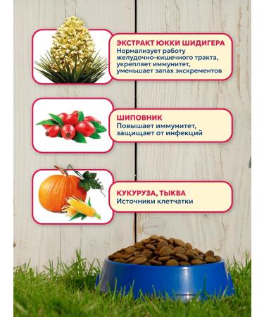 Pet's Brunch Dry food for puppies 4 kg - Buy Online on GoSupps.com