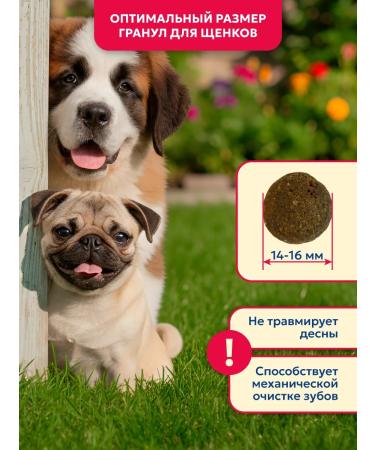 Pet's Brunch Dry food for puppies 4 kg - Buy Online on GoSupps.com