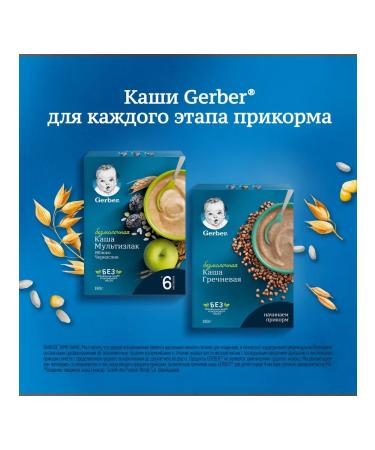 Gerber Porridge apple and prunes from 6 months. 180g 9 pcs - Buy Online on GoSupps.com