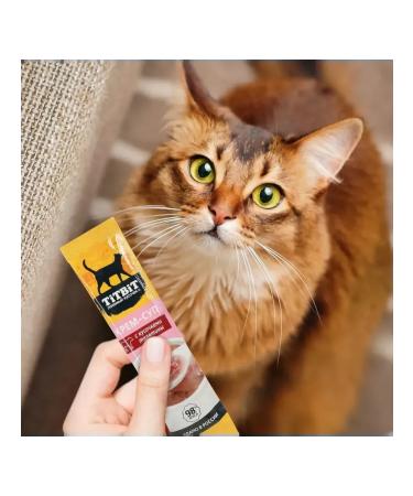 Cream-soup for cats with pieces of veal Titbit 10 g x 10 pcs - Buy Online on GoSupps.com