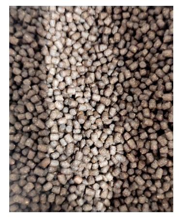 BISCO Dry food for trout with astaxantin diameter 6 mm floating - Buy Online on GoSupps.com