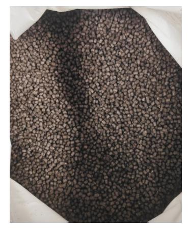 BISCO Dry food for trout with astaxantin diameter 6 mm floating - Buy Online on GoSupps.com