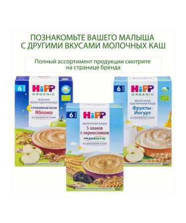Hipp Porridge "buckwheat" dairy from 4 months 2x250g - Buy Online on GoSupps.com