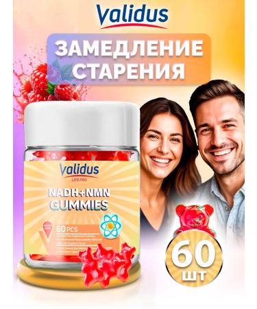 Validus Life Pro 60 marmalade bears