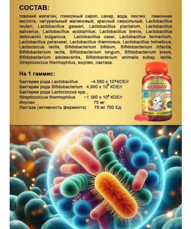 Universe of Health Probiotic prebiotics for intestines immunity gastrointestinal microflora - Buy Online on GoSupps.com