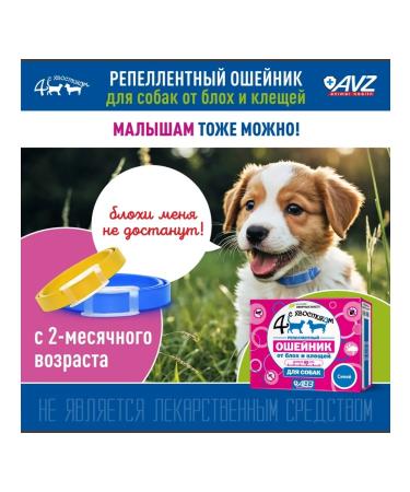 AVZ Four with a tail collar for dogs of medium breeds 50 cm - Buy Online on GoSupps.com