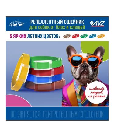 AVZ Replaced collar for dogs kr. rocks 65 cm (green) - Buy Online on GoSupps.com