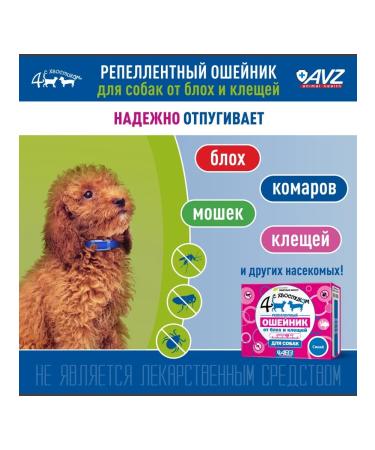 AVZ Replaced collar for dogs kr. rocks 65 cm (green) - Buy Online on GoSupps.com