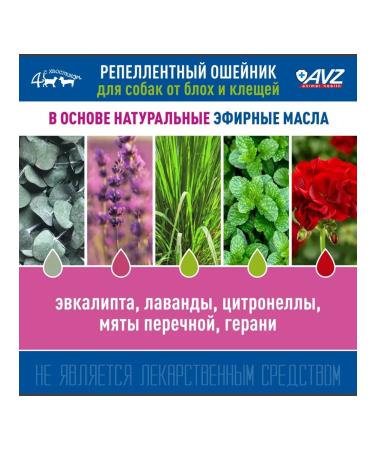 AVZ Replaced collar for dogs kr. rocks 65 cm (green) - Buy Online on GoSupps.com