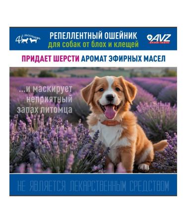 AVZ Replaced collar for dogs kr. rocks 65 cm (green) - Buy Online on GoSupps.com