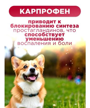 KRKA RICARF 50 mg tablets for the treatment of ode in dogs - Buy Online on GoSupps.com