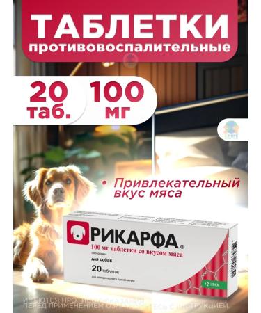 KRKA Ricard 100 mg tablets for the treatment of ode in dogs