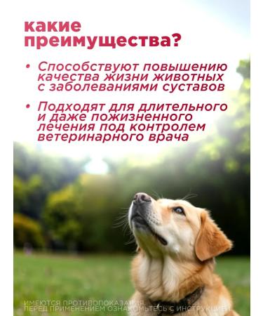 KRKA Ricard 100 mg tablets for the treatment of ode in dogs - Buy Online on GoSupps.com