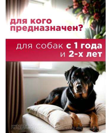 KRKA Ricard 100 mg tablets for the treatment of ode in dogs - Buy Online on GoSupps.com