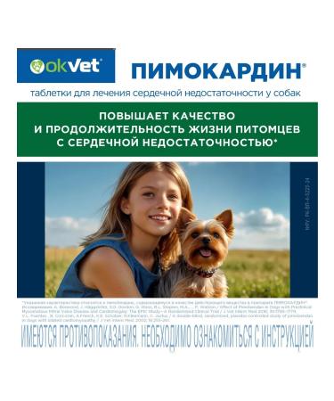 AVZ Okvet pimocardin tablets 1.25 mg (5 blist. 10 tab.) - Buy Online on GoSupps.com