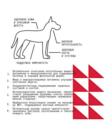 AJO Dry food of ayo for adult dogs of large breeds 12kg - Buy Online on GoSupps.com