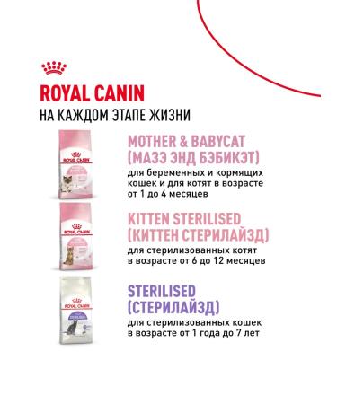 ROYAL CANIN Dry food for kittens from 4 months bird 4 kg x 2 pcs - Buy Online on GoSupps.com