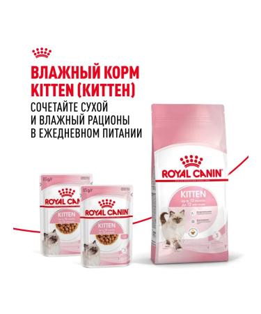 ROYAL CANIN Dry food for kittens from 4 months bird 4 kg x 2 pcs - Buy Online on GoSupps.com