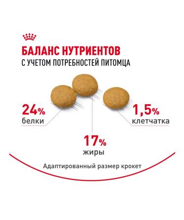 ROYAL CANIN Dry food for medium dogs with irritated skin 3kg x 2pcs - Buy Online on GoSupps.com
