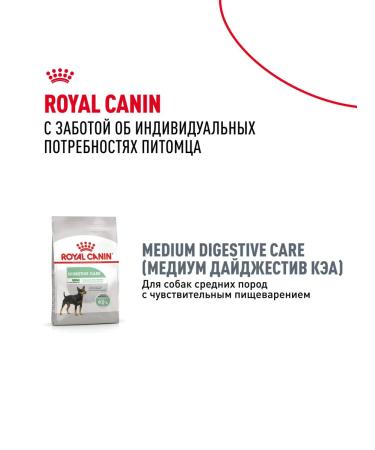 ROYAL CANIN Dry food for medium dogs with irritated skin 3kg x 2pcs - Buy Online on GoSupps.com
