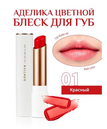 Lipstick for lip Adelika Classic 06