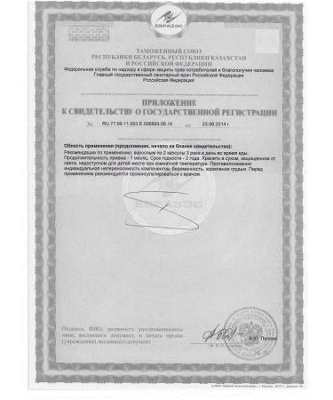 Alina Farm Chitosan about capsules 250 mg 4pcs 60 caps - Buy Online on GoSupps.com