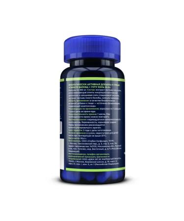 GLS Ginkgo biloba + gota cola for the brain 60 capsules - 2 units - Buy Online on GoSupps.com